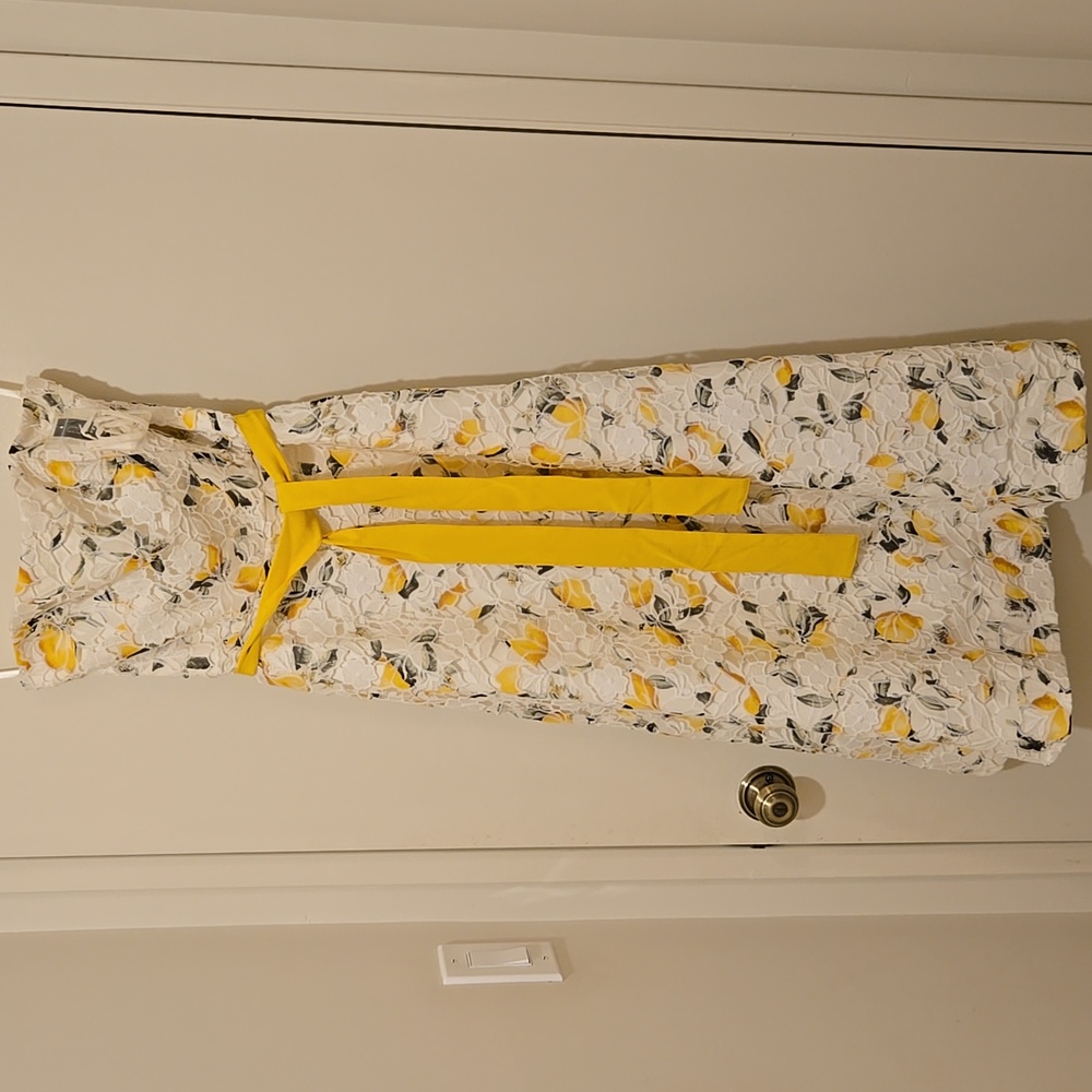 WHBM NWT Lemoncello Dress Sz 4